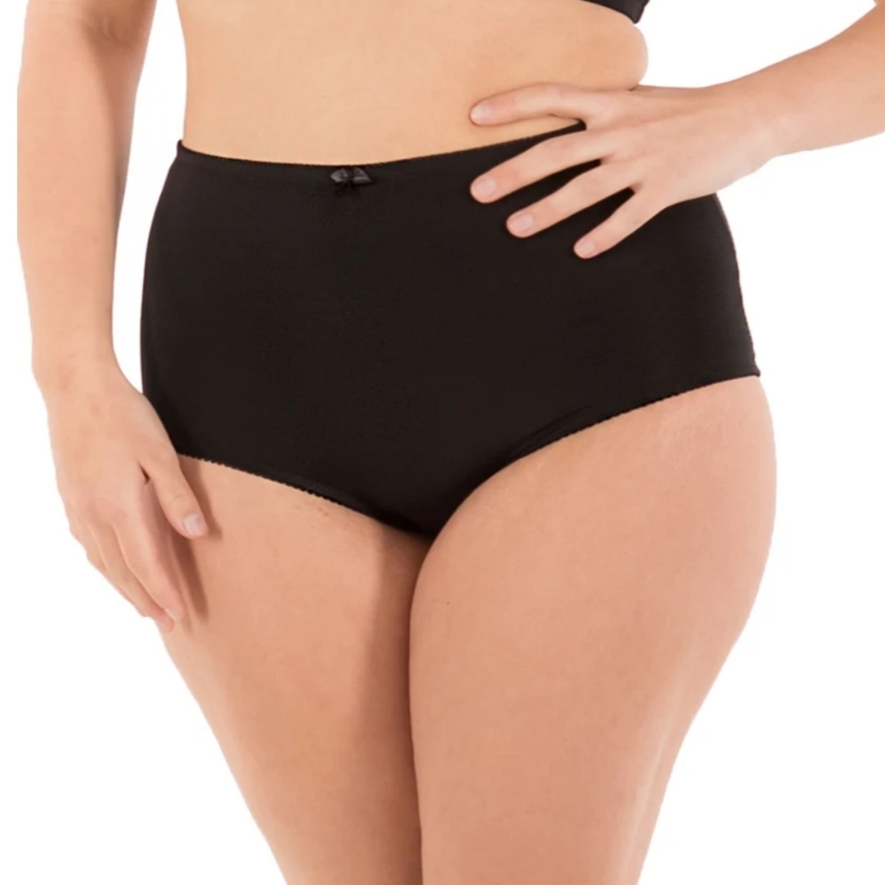 Barba Pink Women's High Waist Tummy Control Panties Nwt Size 2XL (3)